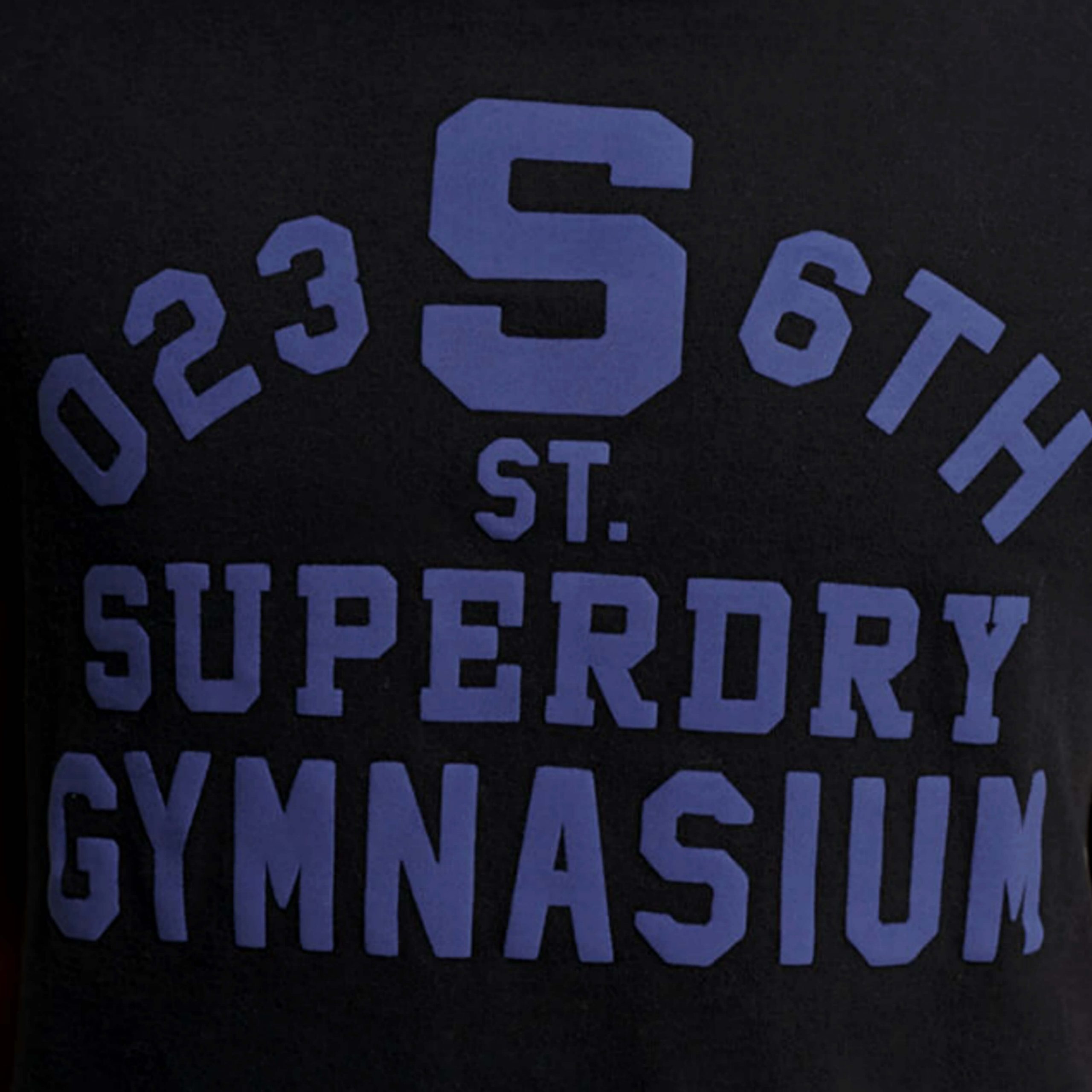 camiseta superdry (28)
